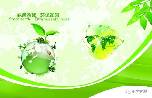 垃圾分類我先行 爭做環保小達人